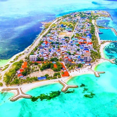 أليفو دالو أتول Maafushi Village المظهر الخارجي الصورة